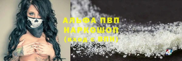 хмурый Белокуриха