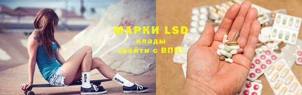 хмурый Белокуриха