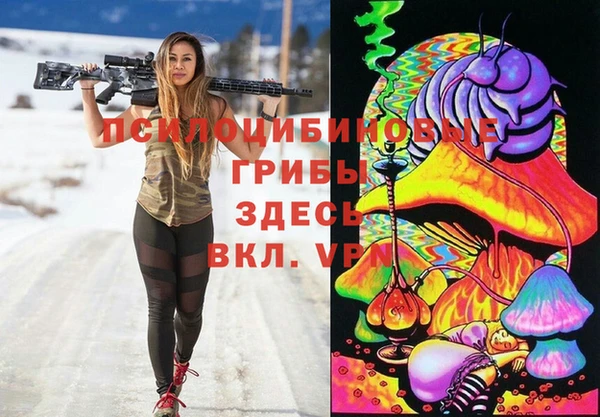 хмурый Белокуриха