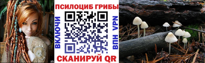 Галлюциногенные грибы прущие грибы  Верея 